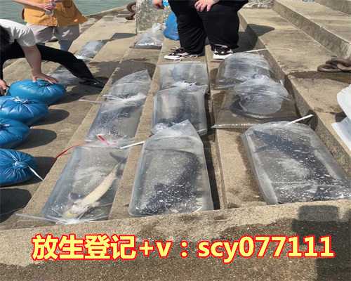 人口负增长已3年，“人口红利反转陷阱”来了