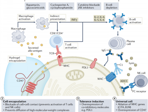 晚年财散人空的女相，早早给自己做打算吧