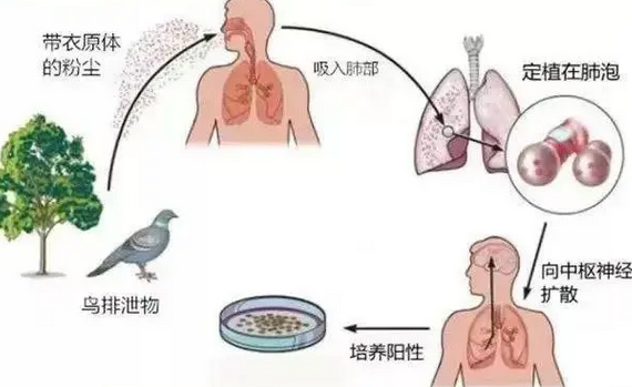 （周运）APP每周星座运程8.19-8.25