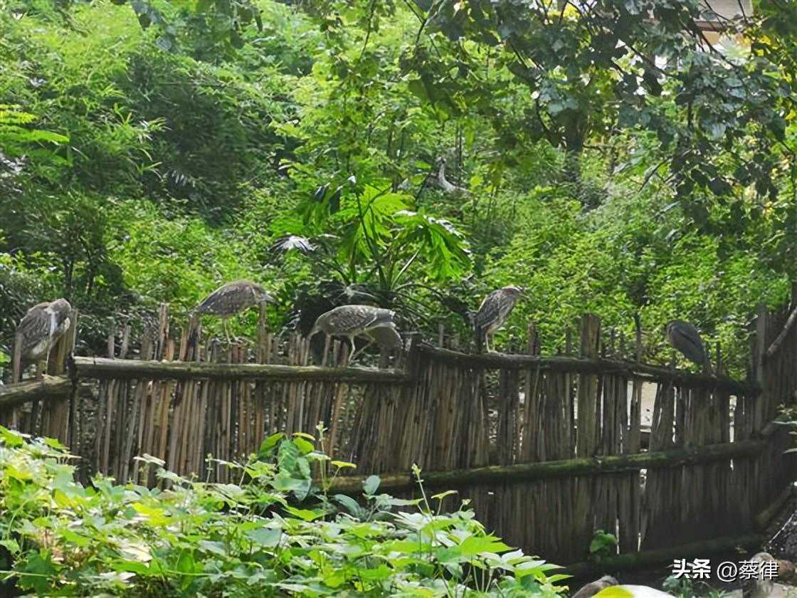 抢红包 测运势 兑现金……小心！这些可能是节日“陷阱”