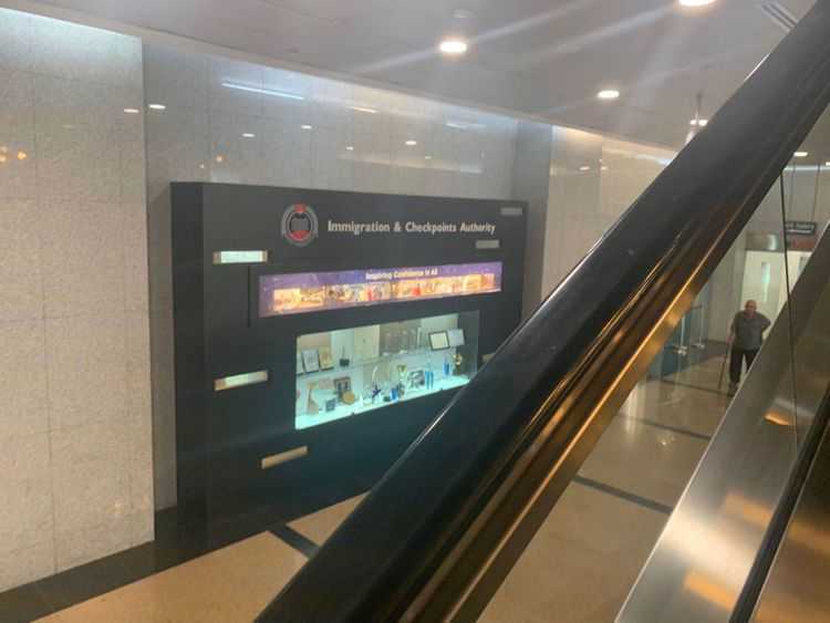 你可能不信！猫和主人相遇，其实早就是命中注定！