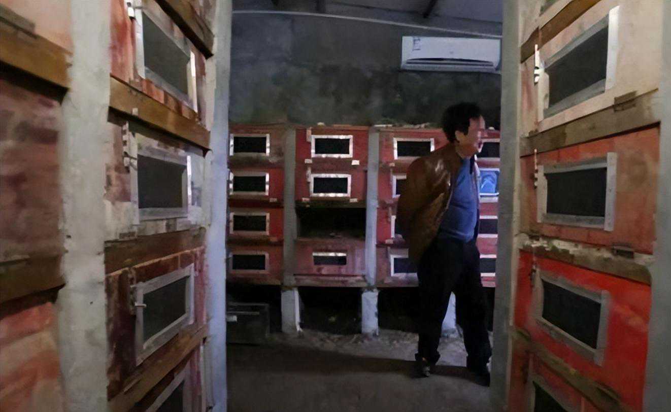 什么东西不能随意烧，烧了会影响运气？