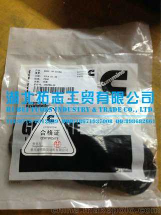 惊爆！属猪人五月碰上Ta，未来十年一路狂飙的秘密