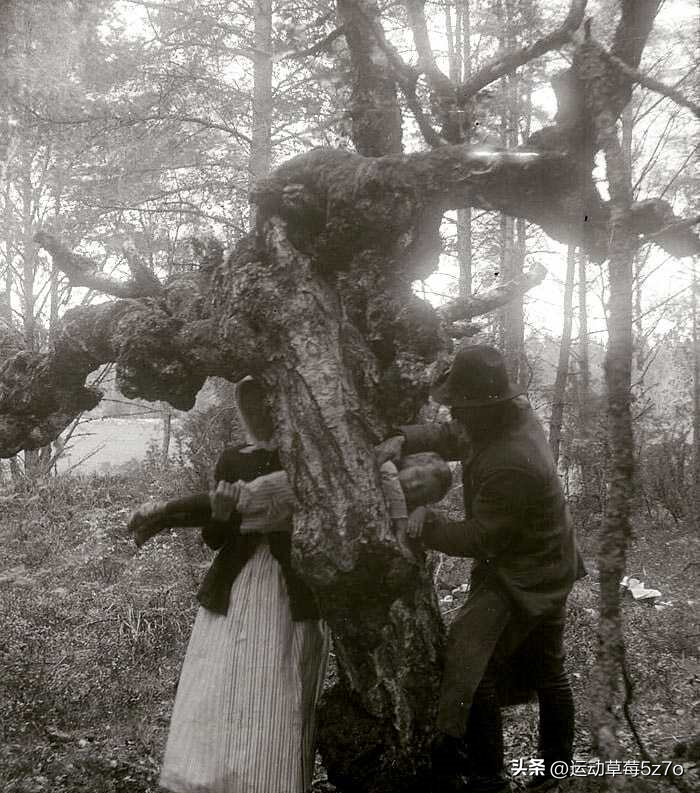 属羊和属鼠的不能有情人终成眷属？！