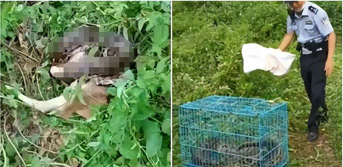 一个人命里有没有钱，其实是注定的，看这三个地方就知道