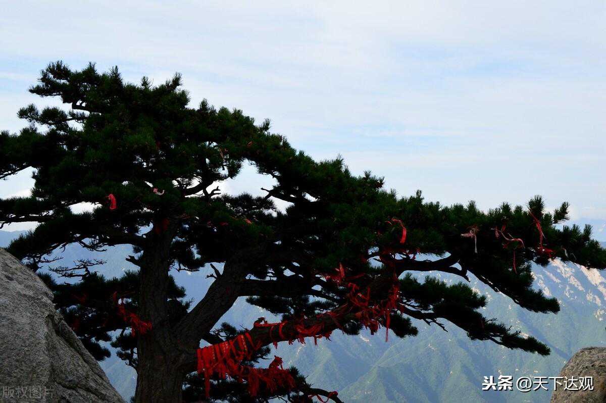 十二生肖立秋之后的运势变化