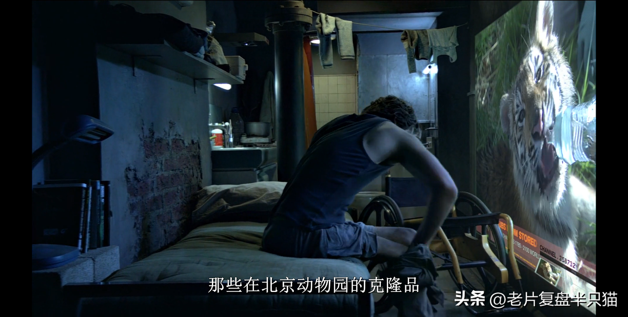 2008年属鼠2025年运势与运程解析