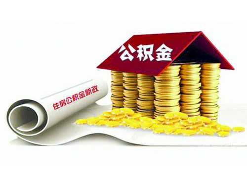 今日运势大揭秘：属蛇人如何抓住黄金机遇？这几点别忽略！