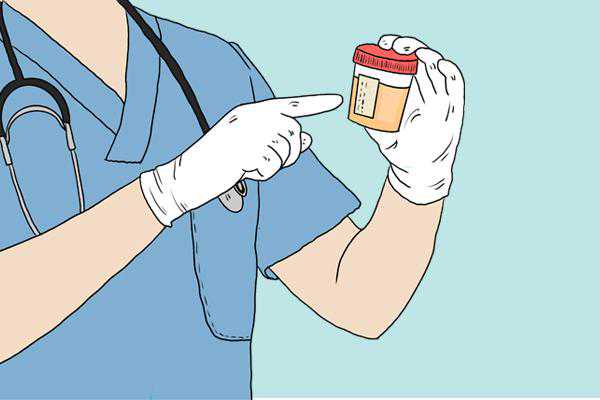 男虎与女羊婚配：绘就独特生活画卷