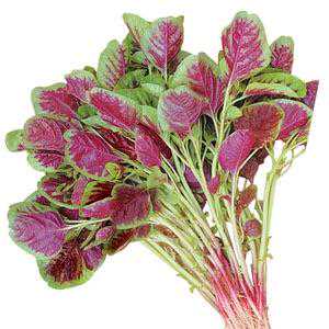 [0324]巨蟹座运势：月亮加持，戌时家宅生辉，情感磁场全开！