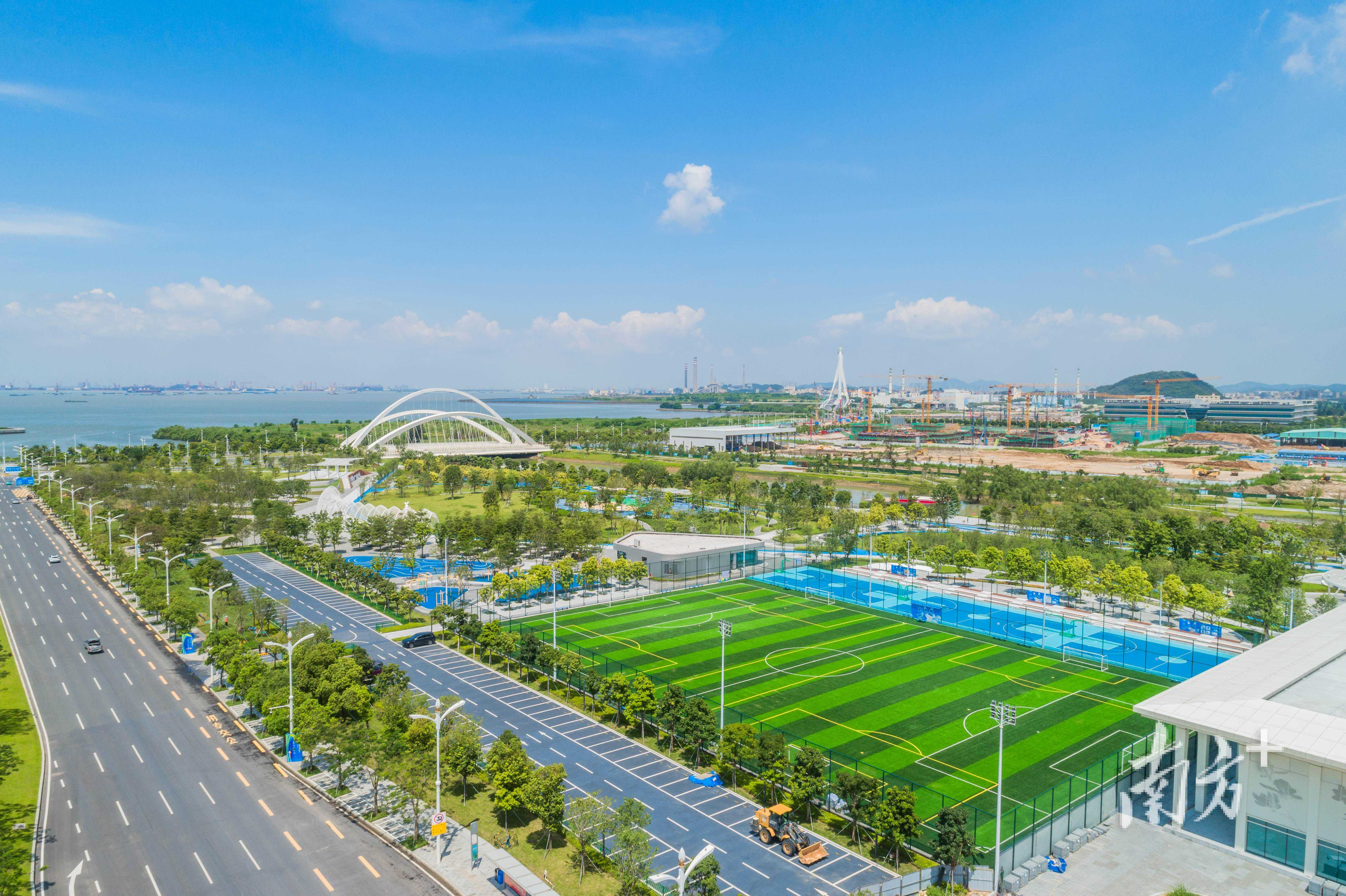 2025 年生肖狗：运势上扬，机遇与成长并行 ，接福接好运！！