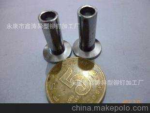 家里养龟能否增添福气吗？